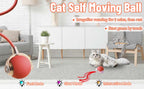 SmartPaws™ Interactive Rolling Cat Ball