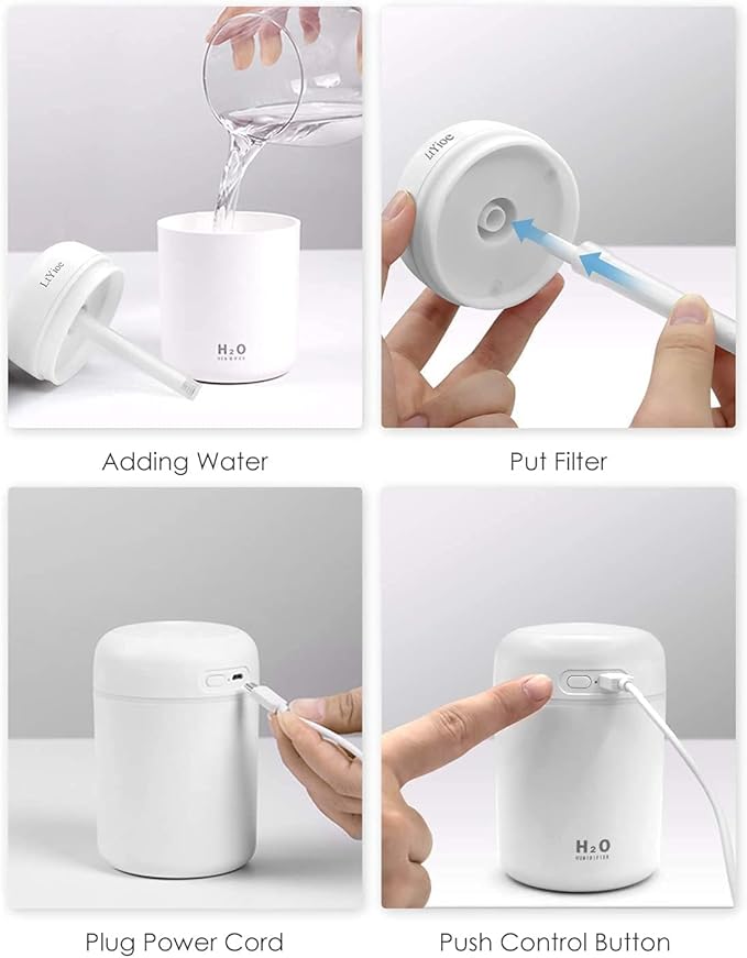 H20 Humidifier