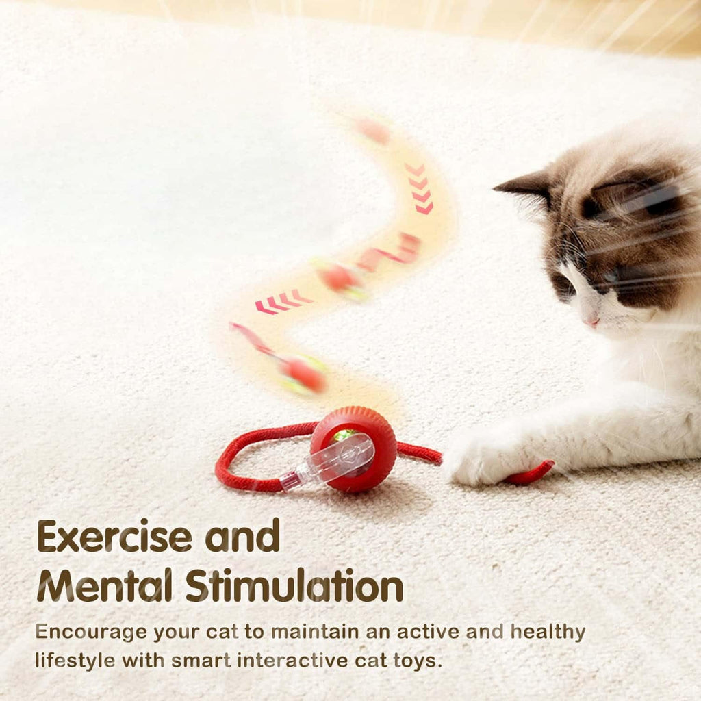 SmartPaws™ Interactive Rolling Cat Ball