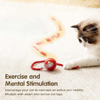 SmartPaws™ Interactive Rolling Cat Ball
